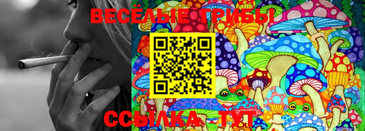 Галлюциногенные грибы MAGIC MUSHROOMS Кизляр