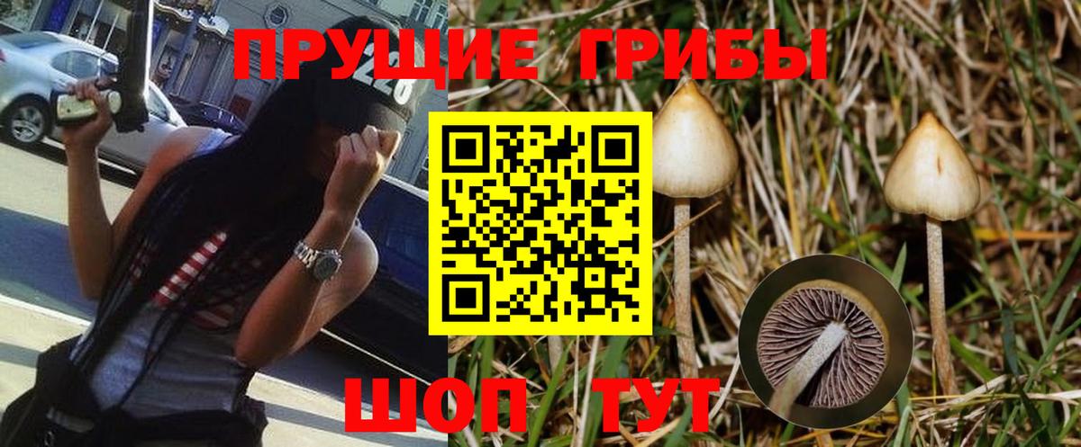 Псилоцибиновые грибы Psilocybine cubensis  Вход с VPN  Кизляр 
